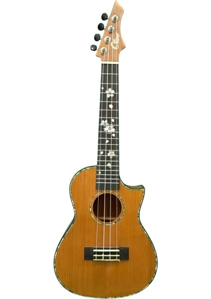 Concert Ukulele