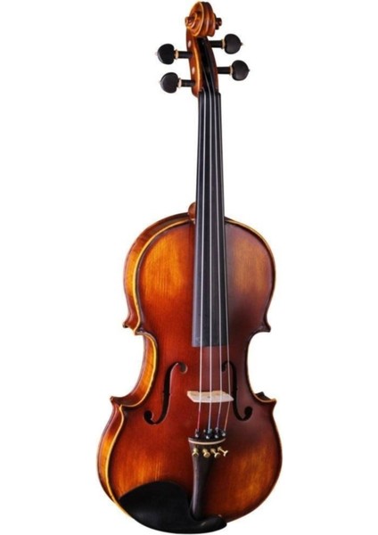 Vla8 Keman Tam Boy 4/4 (Kutu Yay Yastık Yedek Tel Seti Yedek Köprü Reçine Susturucu Kurulum Akort) fırsatları