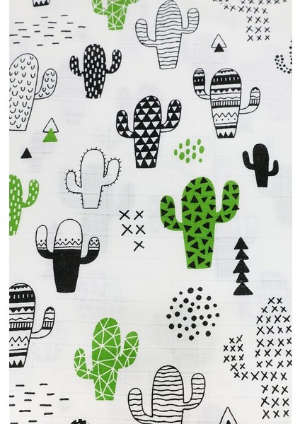 Minicik Kaktüs Bahçesi Panço M