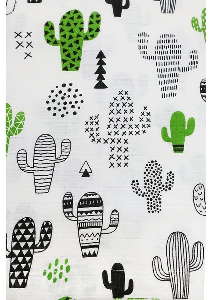 Minicik Kaktüs Bahçesi Panço M