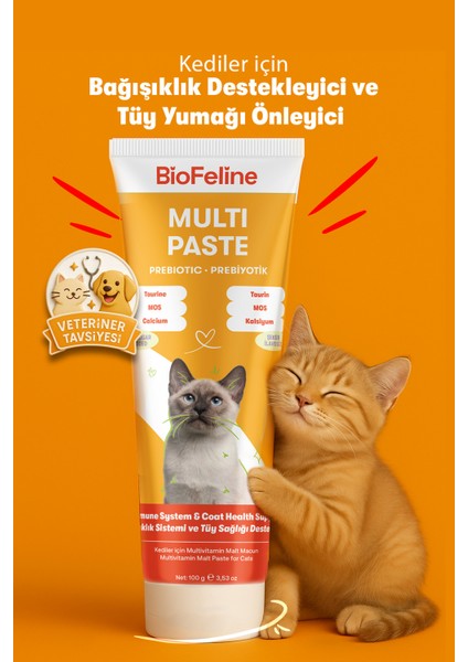 Kedi Multivitamin Macunu Malt Aromalı 18 Vitaminli Bağışıklık ve Tüy Sağlığı 100 gr Şekersiz