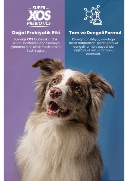 Plus Küçük Irk Yetişkin Köpek Maması 3 kg Tahılsız İşlenmiş Somon Proteini İçerir fiyatları