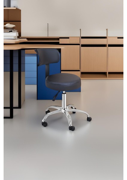 Ofis Laboratuvar Öğrenci Büro Tabure Metal Ayak Tekerlekli Sandalye Sırt Dayama Çalışma Koltuğu fiyatları