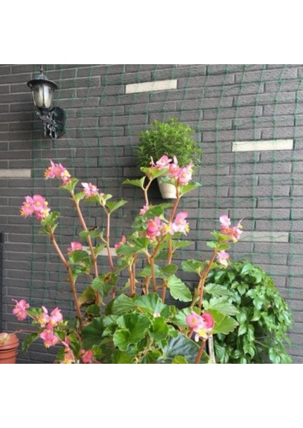 Bitki Destek Filesi 100 metre, En: 4m Salatalık, Fasülye, Kabak fırsatları