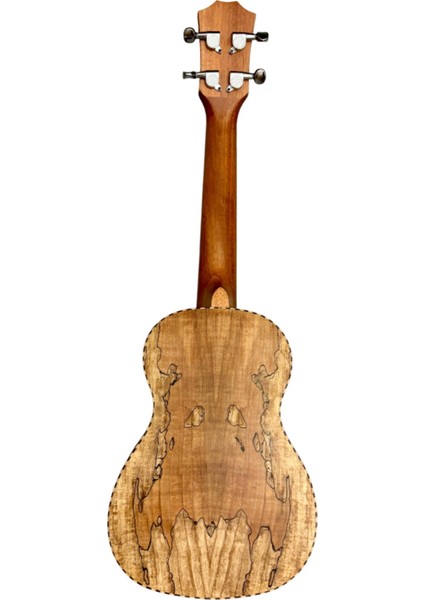 Concert Ukulele fiyatları