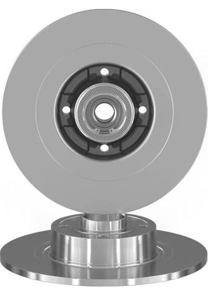 50520B - Renault Megane Arka Diskrenault Scenıc Rulmanlı