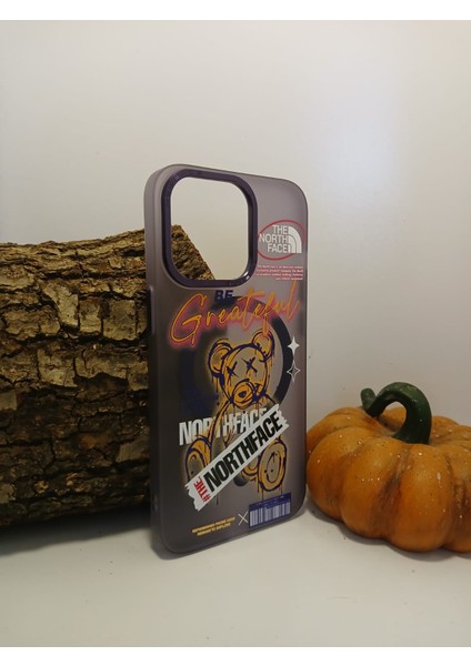 Iphone 13 Pro Telefon Kılıfı Apollo Magsafe Desenli Kapak