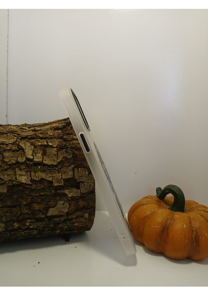 Iphone 12 Pro Max Telefon Kılıfı Apollo Magsafe Desenli Kapak fiyatları