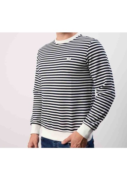 Bisiklet Yaka Çizgili Regular Fit Uzun Kol