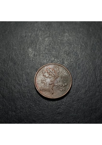 Escoines 3996368BB7B6A3EE71 1973 5kuruş Bronz Çt Para fırsatları