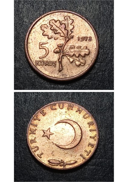Escoines 3996368BB6E8AF34BE 1973 5kuruş Bronz Ççt+ Para