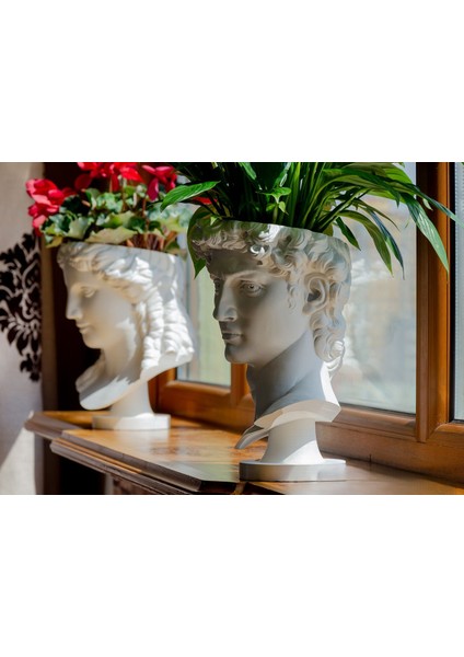 David Saksı Dekoratif David Büstü Saksı Model 20CM Davut Heykeli Ev Ofis Dekor