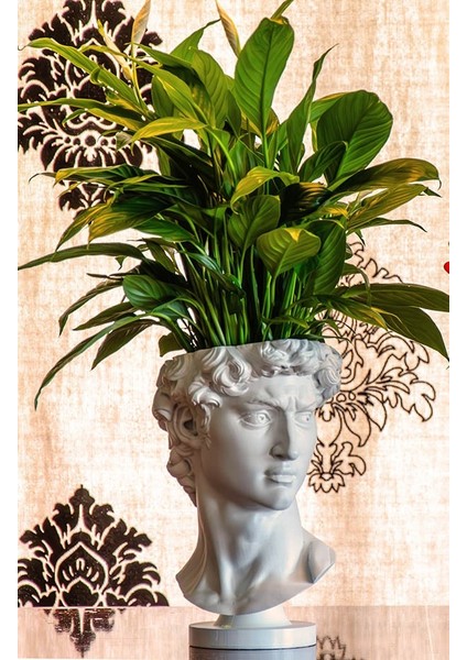 David Saksı Dekoratif David Büstü Saksı Model 20CM Davut Heykeli Ev Ofis Dekor fiyatları