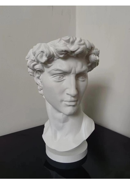 David Saksı Dekoratif David Büstü Saksı Model 20CM Davut Heykeli Ev Ofis Dekor modelleri
