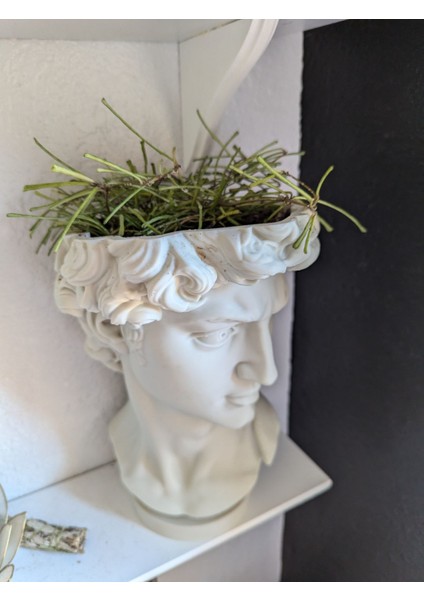 David Saksı Dekoratif David Büstü Saksı Model 20CM Davut Heykeli Ev Ofis Dekor fırsatları