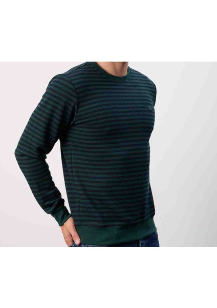 Bisiklet Yaka Nefti Çizgili Regular Fıt