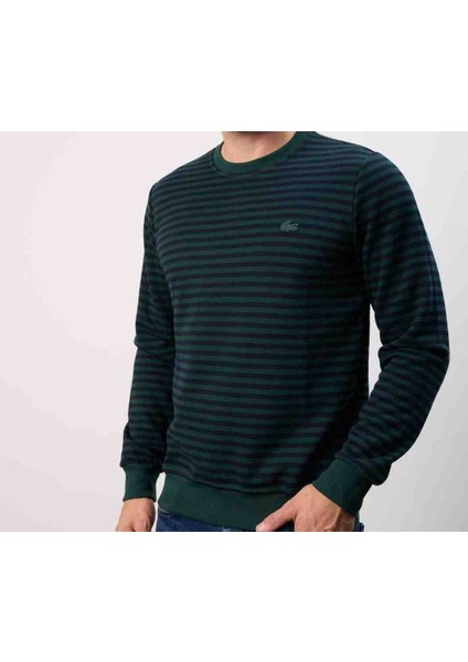 Bisiklet Yaka Nefti Çizgili Regular Fıt fiyatları