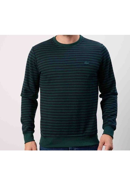 Bisiklet Yaka Nefti Çizgili Regular Fıt modelleri