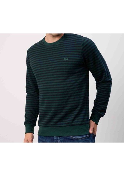 Bisiklet Yaka Nefti Çizgili Regular Fıt fırsatları