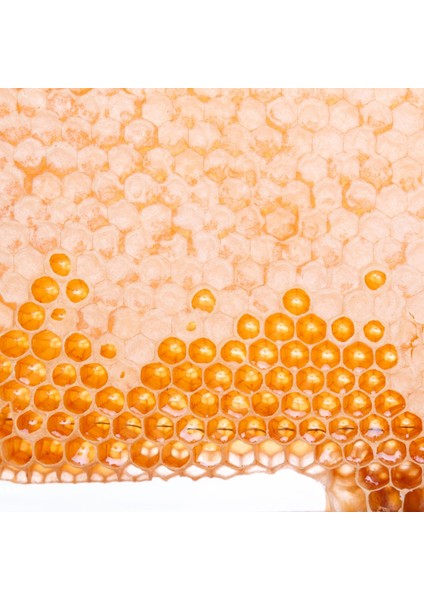 Ağrı Petek Bal - Geleneksel Lezzet ve Yoğun Aroma modelleri