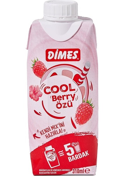 Cool Berry Özü 310 ml x 24 Adet - Ekonomik Koli, Meyve Aromalı Konsantre fiyatları