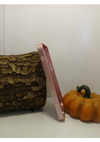 IPHONE12 Pro Telefon Kılıfı Magsafe Özellikli Lens Korumalı Jake Kapak modelleri