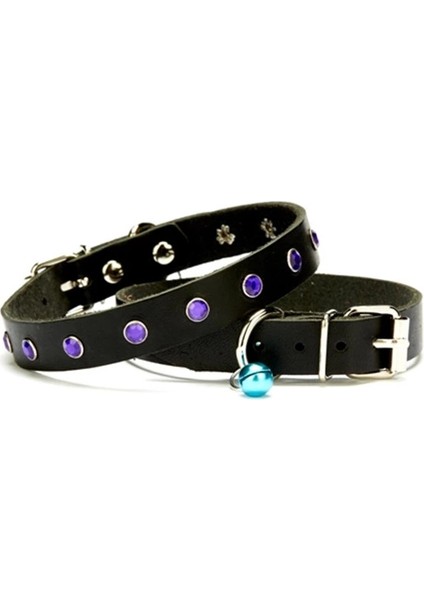 Doggie Taşlı Kedi ve Yavru Köpek Tasması 1,2X26 cm Siyah Large