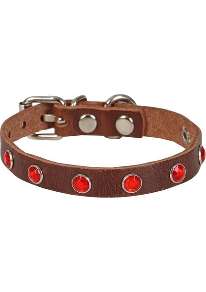 Doggie Taşlı Kedi ve Yavru Köpek Tasması 1,2X26 cm Kahverengi Large modelleri