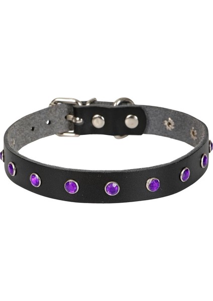 Doggie Taşlı Kedi ve Yavru Köpek Tasması 1,2X26 cm Mavi Large fırsatları