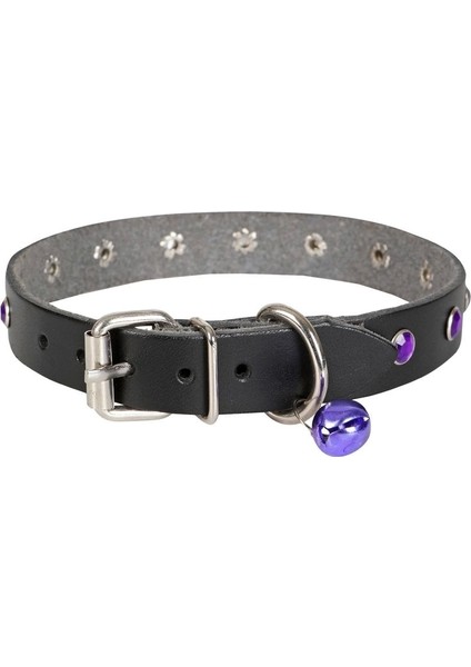 Doggie Taşlı Kedi ve Yavru Köpek Tasması 1,2X26 cm Mavi Large indirimleri