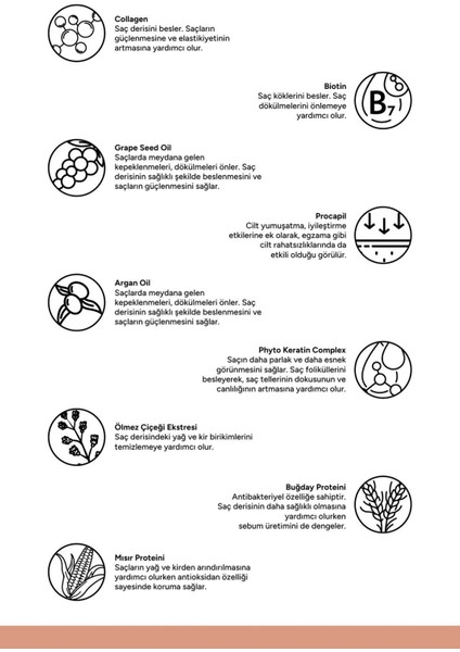 Onarıcı Vegan Saç Kremi 200 ml Doğal İçerikli Procapil Kolajen Argan Yağlı Boyalı Saçlar