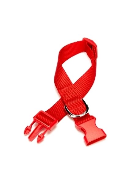 Doggie Dokuma Köpek Boyun Tasması 2 cm x 30-45 cm Kırmızı 25 kg fiyatları