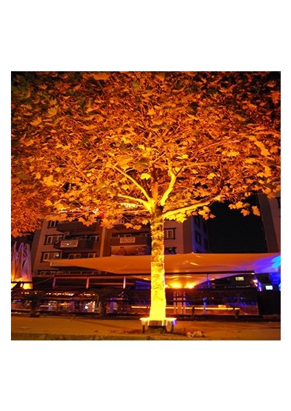 20W LED Projektör (Amber Renk) modelleri