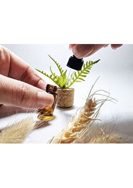 Mu Craft Saksılı Bitki Beyaz Çiçek Araç Içi Klima Koku Difüzörü Klipsli indirimleri