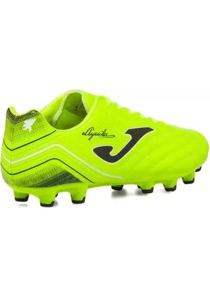 AGUS2309FG Aguila Fg Erkek Krampon fiyatları