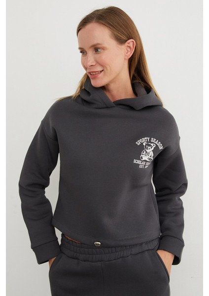 3 Iplik Ayıcık Nakışlı Kapüşonlu Jogger Eşofman Takımı fiyatları