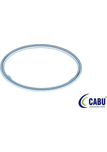 330812 - Kalorıfer Ufleyıcı Cercevesı Krom Focus Iı 04 08