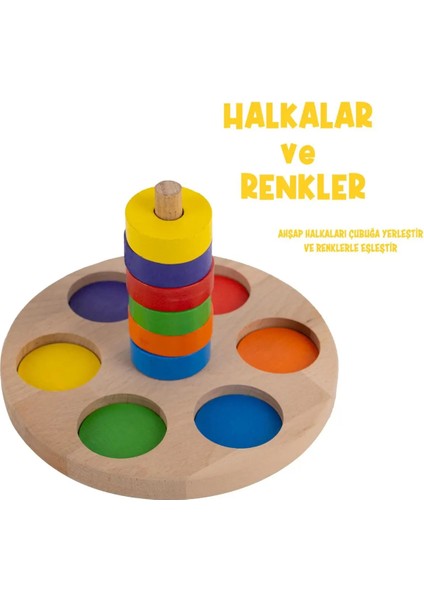 Halkalar ve Renkler 1+Yaş indirimleri