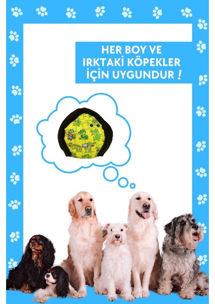 Lotus Köpek Mama Saklama Topu Köpek İçin Koklama Topu Stres Giderici Kokla Bul Köpek Oyuncağı