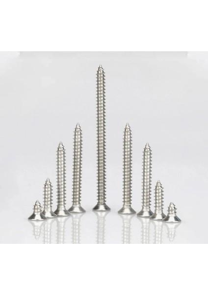 4X20 mm Ahşap Sunta Vidası (1000 Adet) modelleri