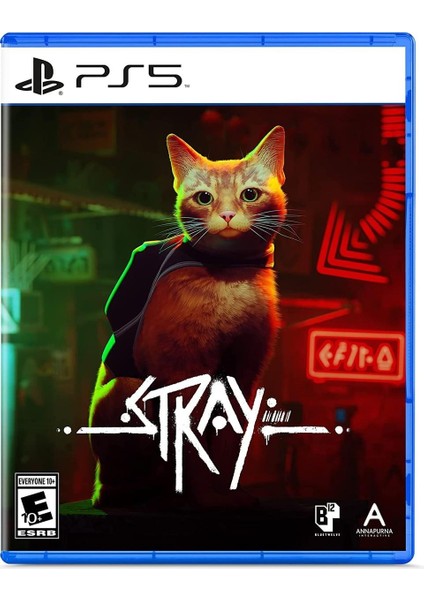 Stray Ps5 Oyunu