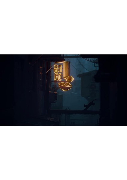 Stray Ps5 Oyunu modelleri