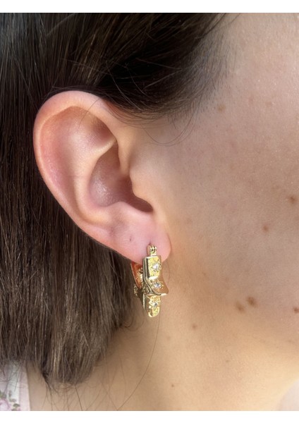 Zarif Taş Detaylı Yıldız Küpe