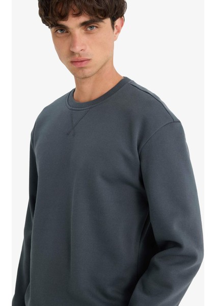 Regular Fit Bisiklet Yaka Basic Düz Kalın Sweatshirt