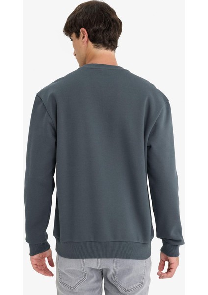 Regular Fit Bisiklet Yaka Basic Düz Kalın Sweatshirt