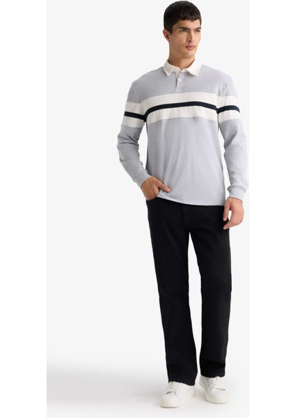 Regular Fit Polo Yaka Uzun Kollu Tişört E9382AX25AU fiyatları