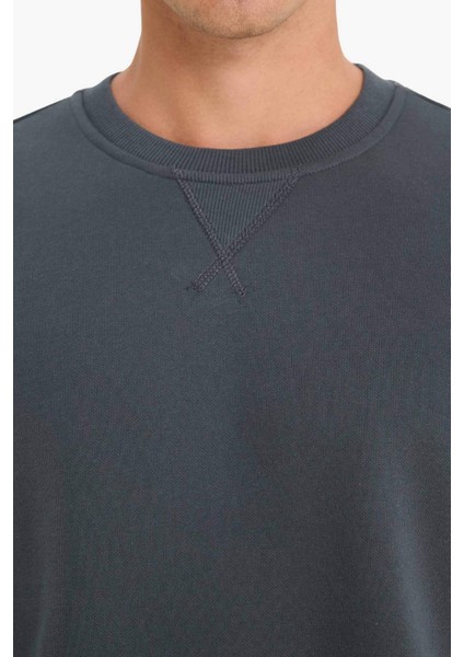 Regular Fit Bisiklet Yaka Basic Düz Kalın Sweatshirt T3777AZ25AU indirimleri