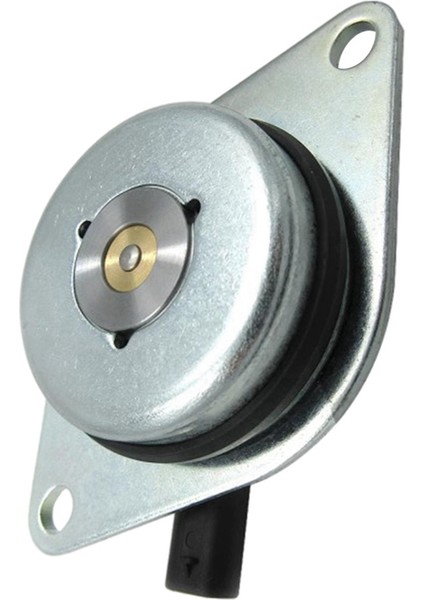 Zamanlama Kontrol Vanası Vvt Vanası Ocv Vanası Solenoid Vanası (Yurt Dışından) modelleri