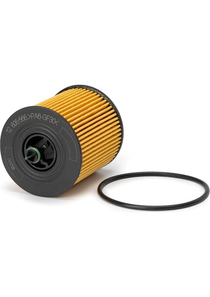 12605566 12580254 1J910017 Yağ Filtresi Için (Yurt Dışından)