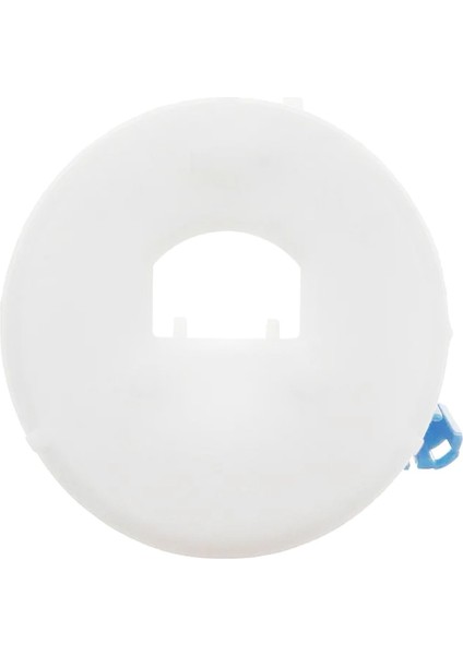 Benzin Yakıt Pompası Filtresi 1770A106 1770A270 Için (Yurt Dışından) fırsatları